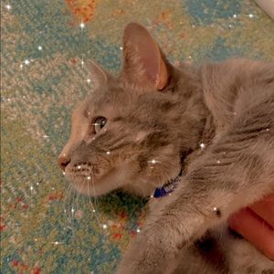 Meet your Posher, Ploy